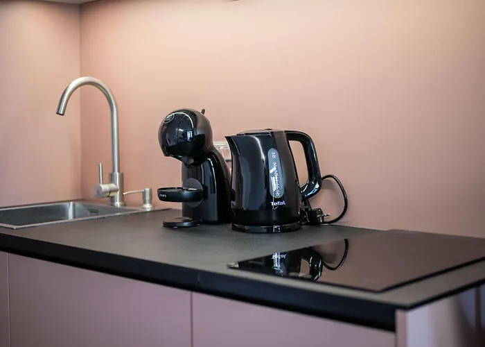 Stylovy - Pri Centre S Balkonom Appartement *